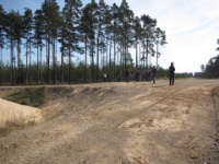 2016-05-08 10h04m07 - Goudvink te zien - Gerda van der Meer